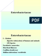 Enterobacteriaceae