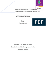Elctroforesis Tarea 1 AGP PDF