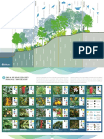 Guía Vegetación - Rutas Naturbanas PDF