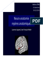 Repères anatomiquesx.pdf