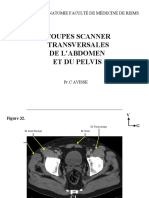 Sectionala AP3 (2).pdf