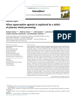 When Apperceptive Agnosia Is Explained by A Deficit of Primary Visual Processing