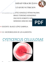 Cysticercus Cellulosae E. T PDF