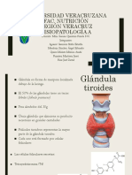 Hipotiroidismo, Hipertiroidismo, Hipoparatiroidismo, Hiperparatiroidismo PDF