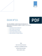 GUIA N°13. (1).docx