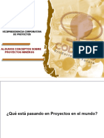 Algunos Conceptos Sobre Proyectos Mineros