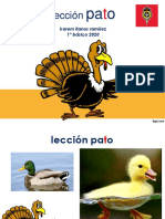 Palabra Generadora Pato PDF