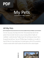 My Pets