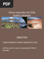 Mapa del Norte Grande de Chile | PDF | Geografía Física | Ciencias de ...