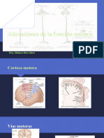 Alteraciones de la función motora2019