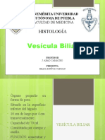 Vesícula Biliar Histología