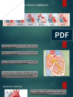 Ciclo Cardiaco2