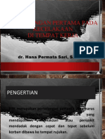 P3K Dr. Hana