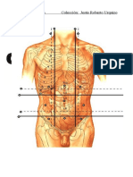 Anatomia Dibujos Curso Completo