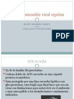 Rinoneumonitis Viral Equina