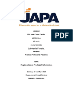 Tarea 1 de Practica Pasantia, Efri