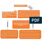 Niveles de creatinina y estimación de la filtración glomerular