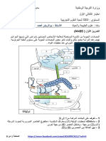 اختبار الثلاثي الأول 2017