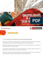 Conceptos basicos sobre seguridad y salud en el trabajo - peligros y riegos .pdf