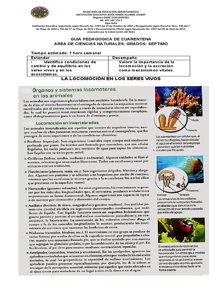 Locomocion en Animales | PDF | Esqueleto | Articulación