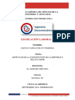 Informe sobre los artiulos_Evelyn_Zapata.pdf