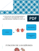 Insuficiencia Renal