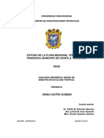 CastroGuzmanSonia Agosto2014 PDF