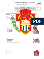 Cuestionario Sistema Circulatorio