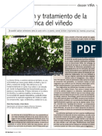 Intervenciones Frente A La Clorosis Férrica en Viticultura PDF