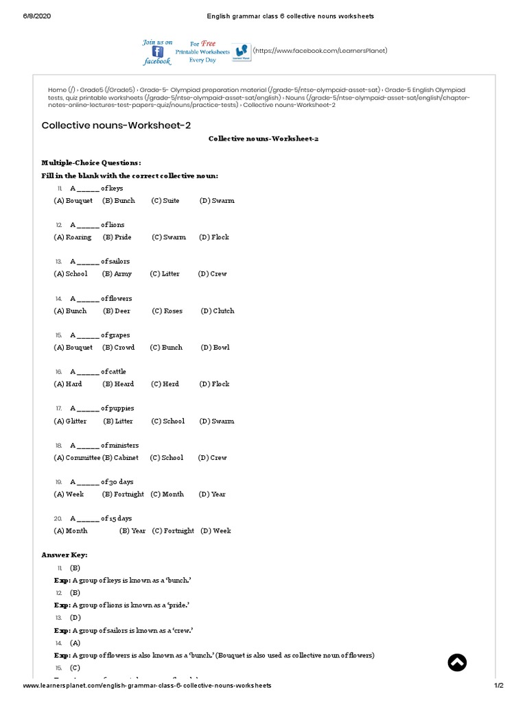 english grammar class 6 collective nouns worksheets