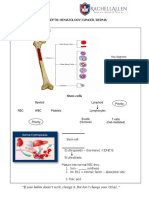 4 - Hematology 3