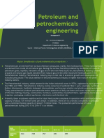Petroleum and Petrochemicals Engineering PDF