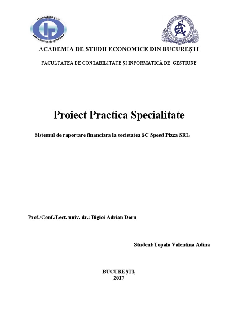 Proiect Practica Master (Repaired) | PDF