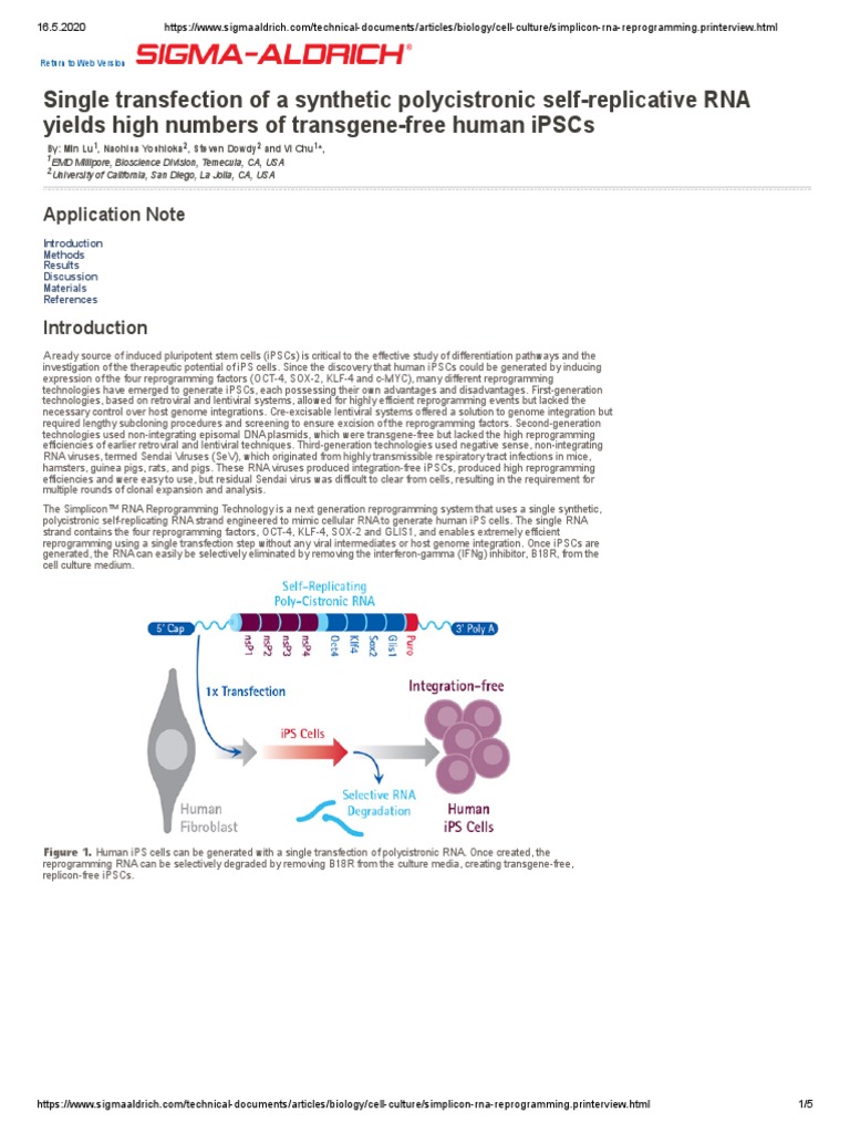 Simplicon Rna Reprogramming - Printerview | PDF | Cell Potency ...