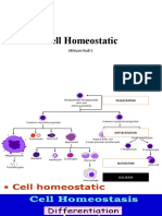 Cell Homeostatic: Akhiyan Hadi S