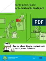 Sectorul curăţeniei industrială şi curăţătorii chimice.pdf