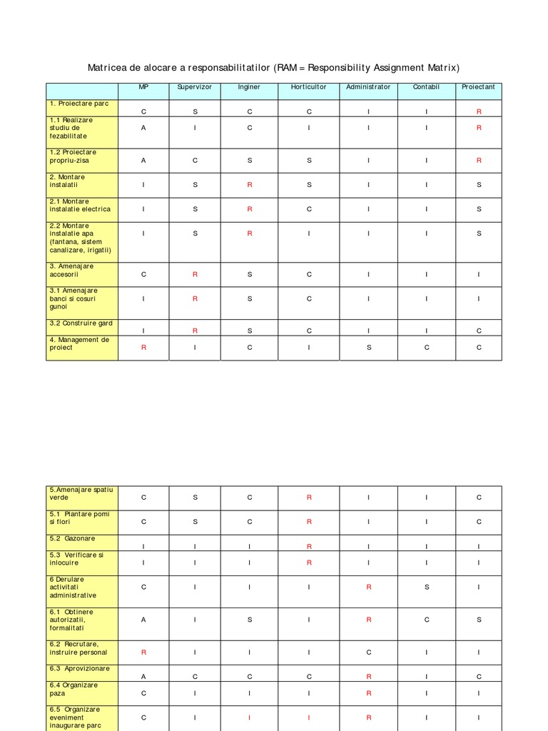 Matrice de Alocare A Responsabilitatilor - Exemplu | PDF