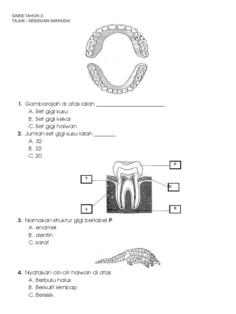 Sains Tahun 3 Lcs Pdf