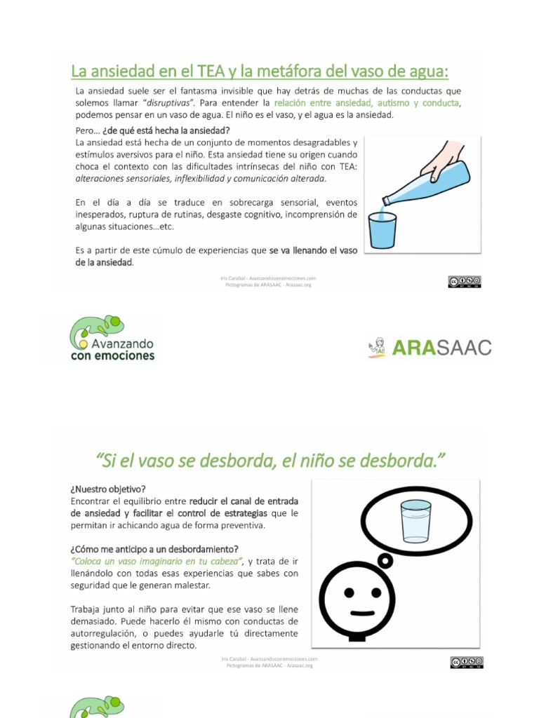 La Metafora Del Vaso Del Agua | PDF