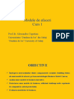 Business Model - Capatina Alexandru - Curs 1