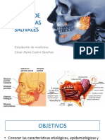 6.cáncer de Glándulas Salivales Diapos