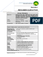 2) Resumen Ejecutivo - Ficha