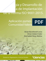 EstrategiaYDesarrolloDeUnaGuiaDeImplantacionDeLaNo-655245.pdf