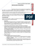 Presupuesto de Venta y Flujo de Caja PDF