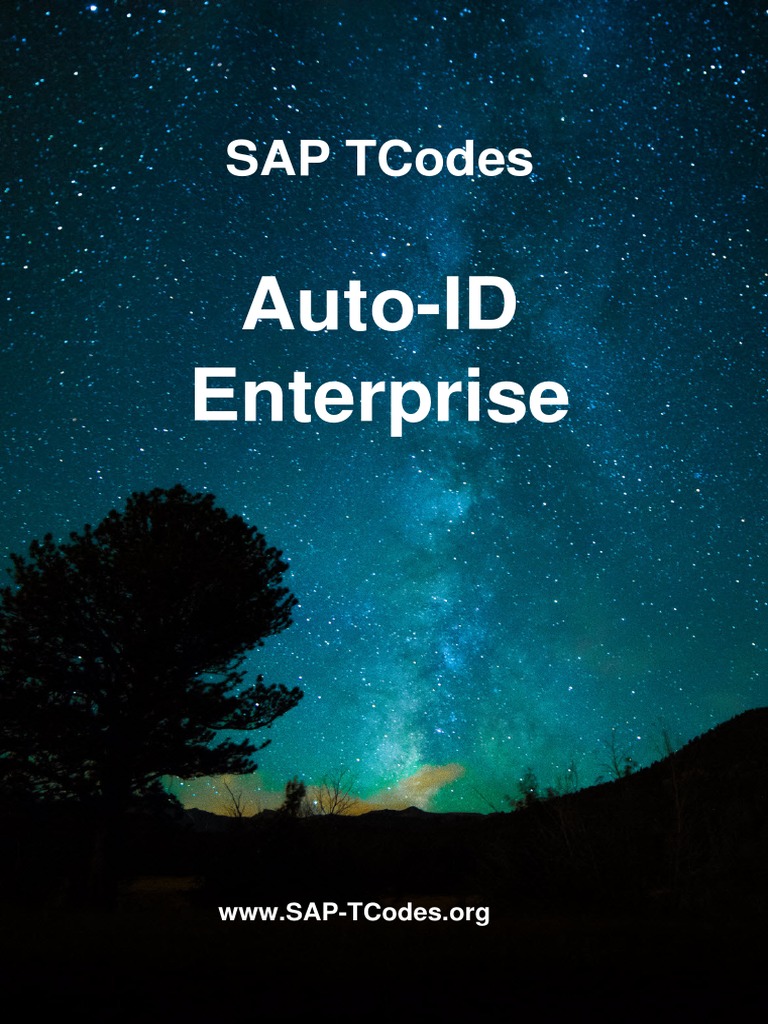 SAP-TCodes Module AIE-EN PDF | PDF | Sap Se | Computing
