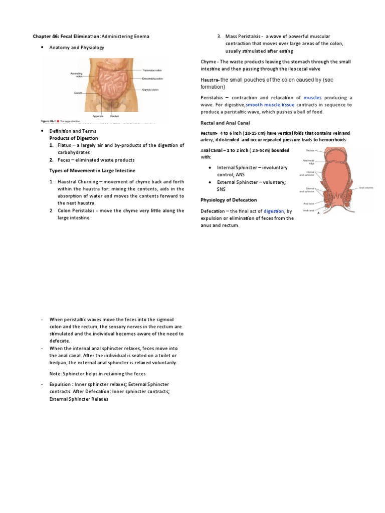 Enema Administration and Fecal Elimination | PDF | Rectum | Large Intestine