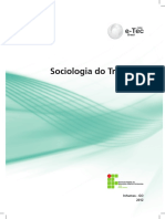 sociologia_do_trabalho.pdf