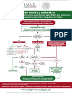 Diagrama Mordida de Perro