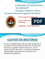 Cultivo de Bacterias y Levaduras
