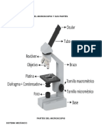 Partes Del Microscopio